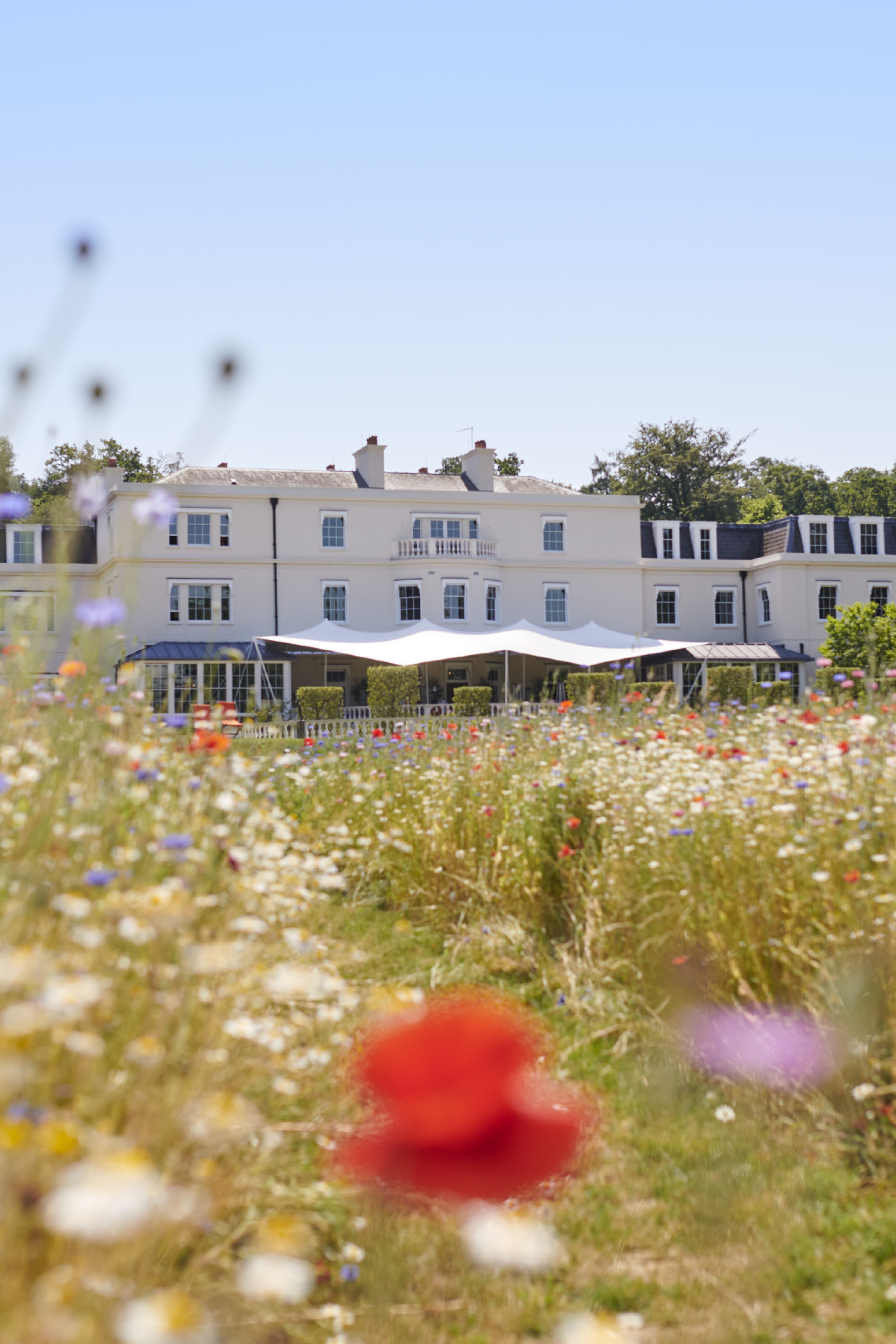 summer meadow photo at coworth park 