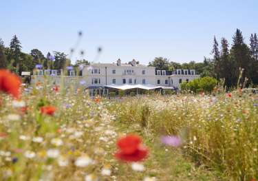 Summer meadow photo at coworth park .