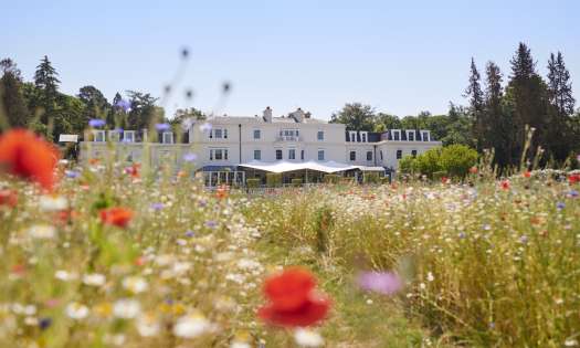 Summer meadow photo at coworth park .