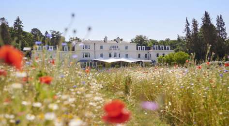 Summer meadow photo at coworth park .