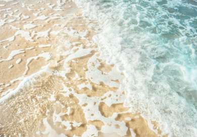 Close-up of the shoreline.