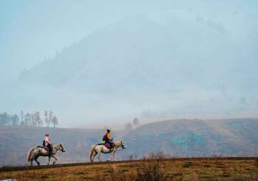 Horses riding in rural china.
