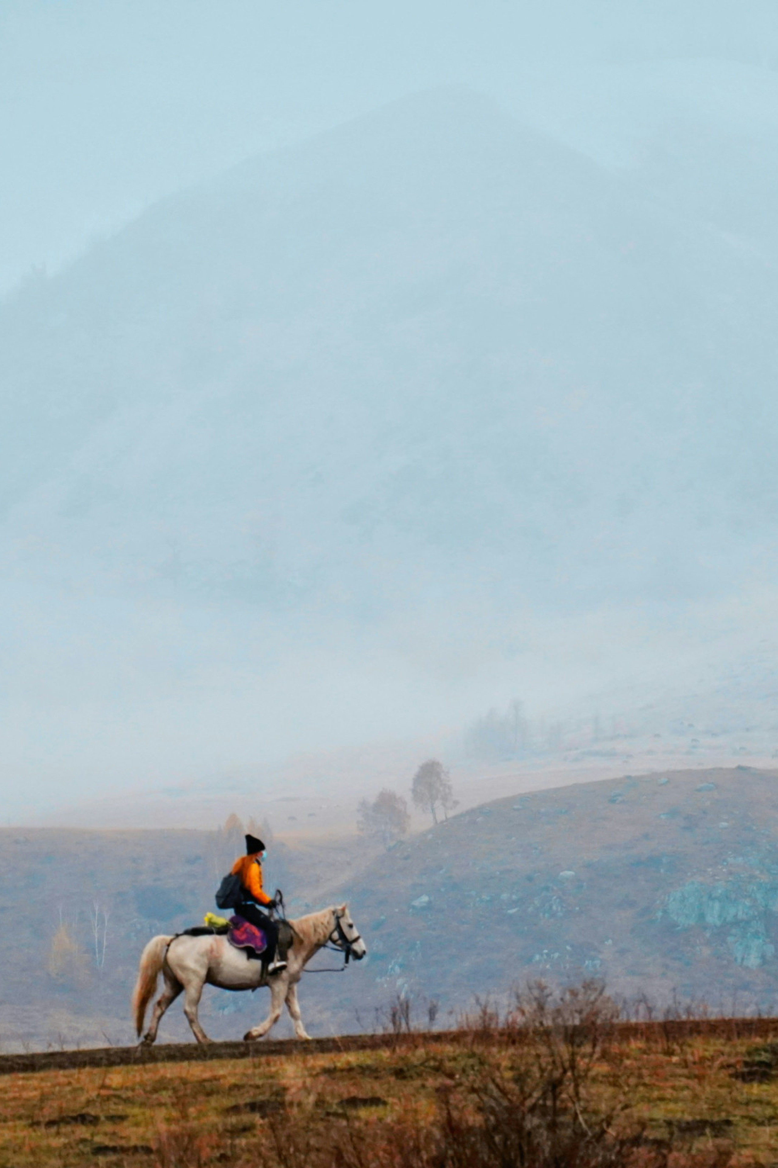 horses riding in rural china
