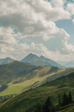 Das edelweiss (5).