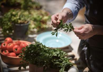 Person picking off parsley leaf in hotel kitchen.