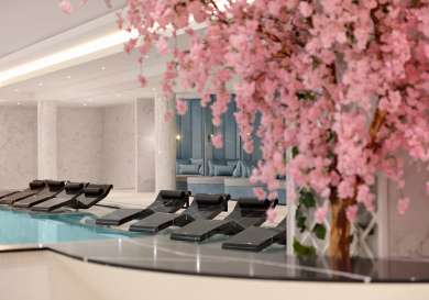 Fairmont windsor park spa japanese ayishu foot bath.