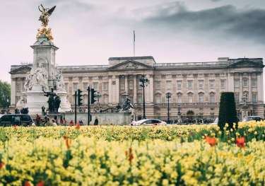 Ferdinand stohr fc cx8dfuze unsplash.