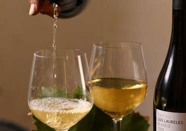 Finca el ancon wine tenerife.