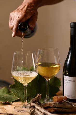 Finca el ancon wine tenerife.