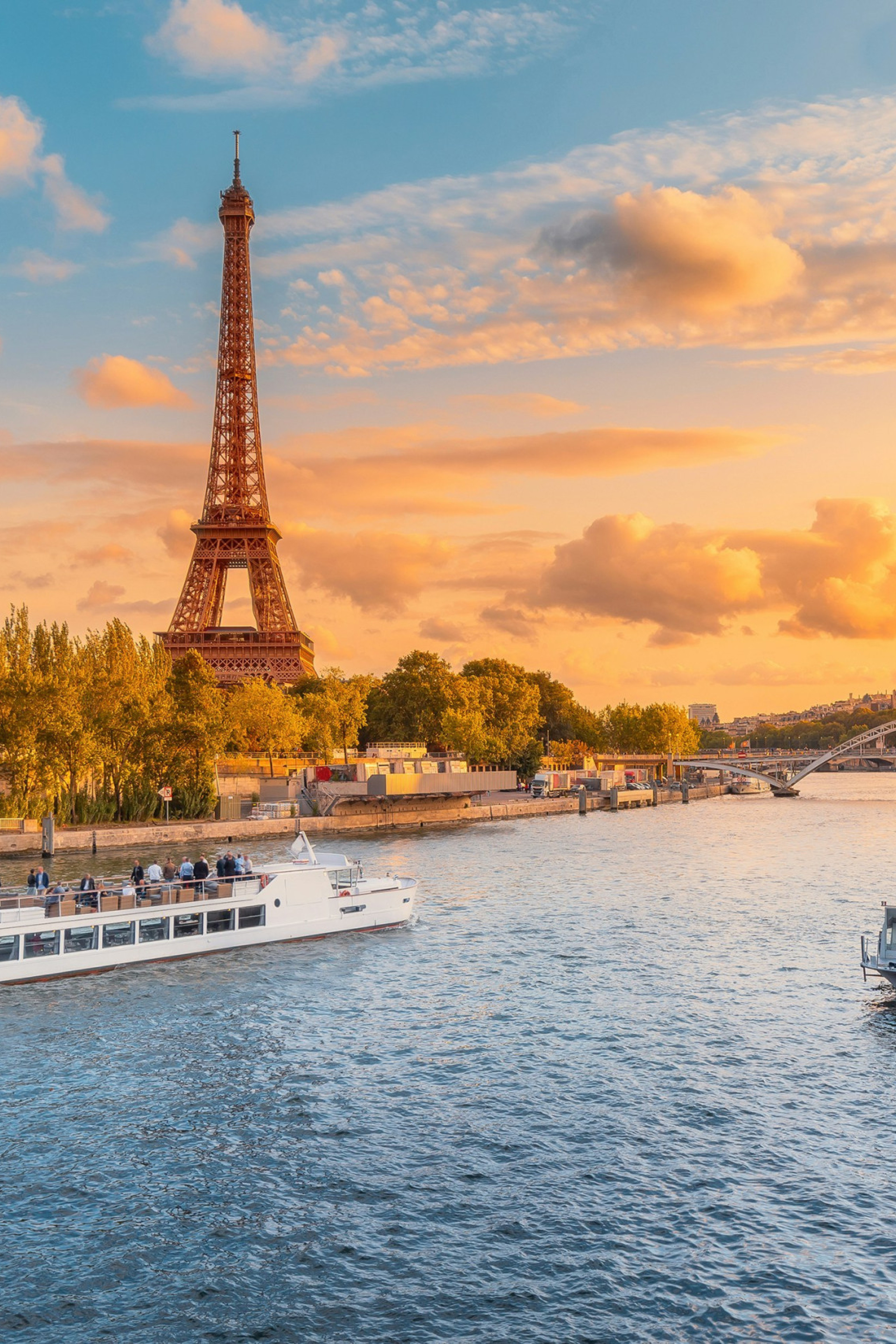 river cruise along the seine with the eiffel tower in the background