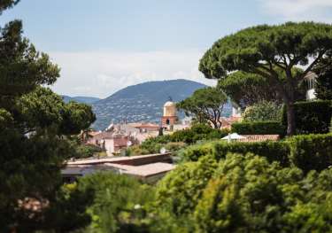 View across french town with trees in the foreground.