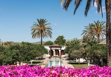 Hotel garden with pool of water, palm trees and pink flowers.