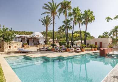 Hotel pool in Ibiza with palm trees.