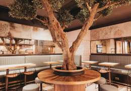 Interior with olive tree 2 1660749224.