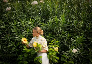 Irene forte hibiscus flower 1761740749.