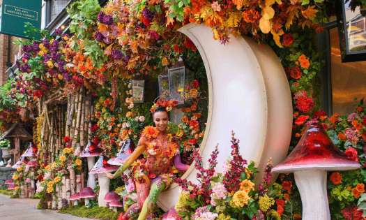 Ivy chelsea rhs installation 21056 3452 1024x620.
