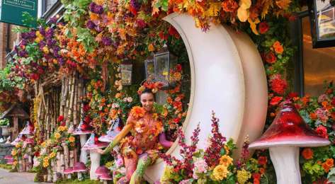 Ivy chelsea rhs installation 21056 3452 1024x620.