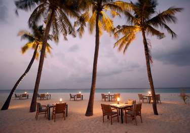 Tables and chairs positioned on beach surrounded by palm trees.