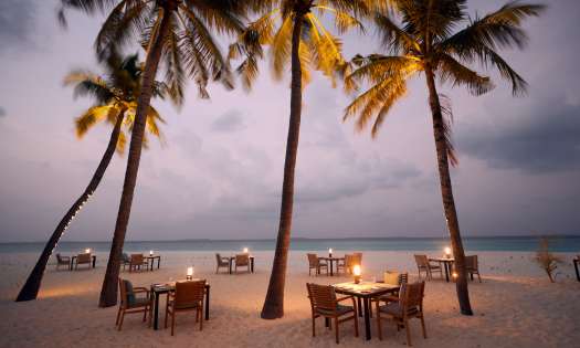 Tables and chairs positioned on beach surrounded by palm trees.