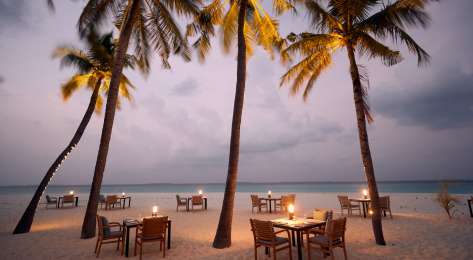 Tables and chairs positioned on beach surrounded by palm trees.
