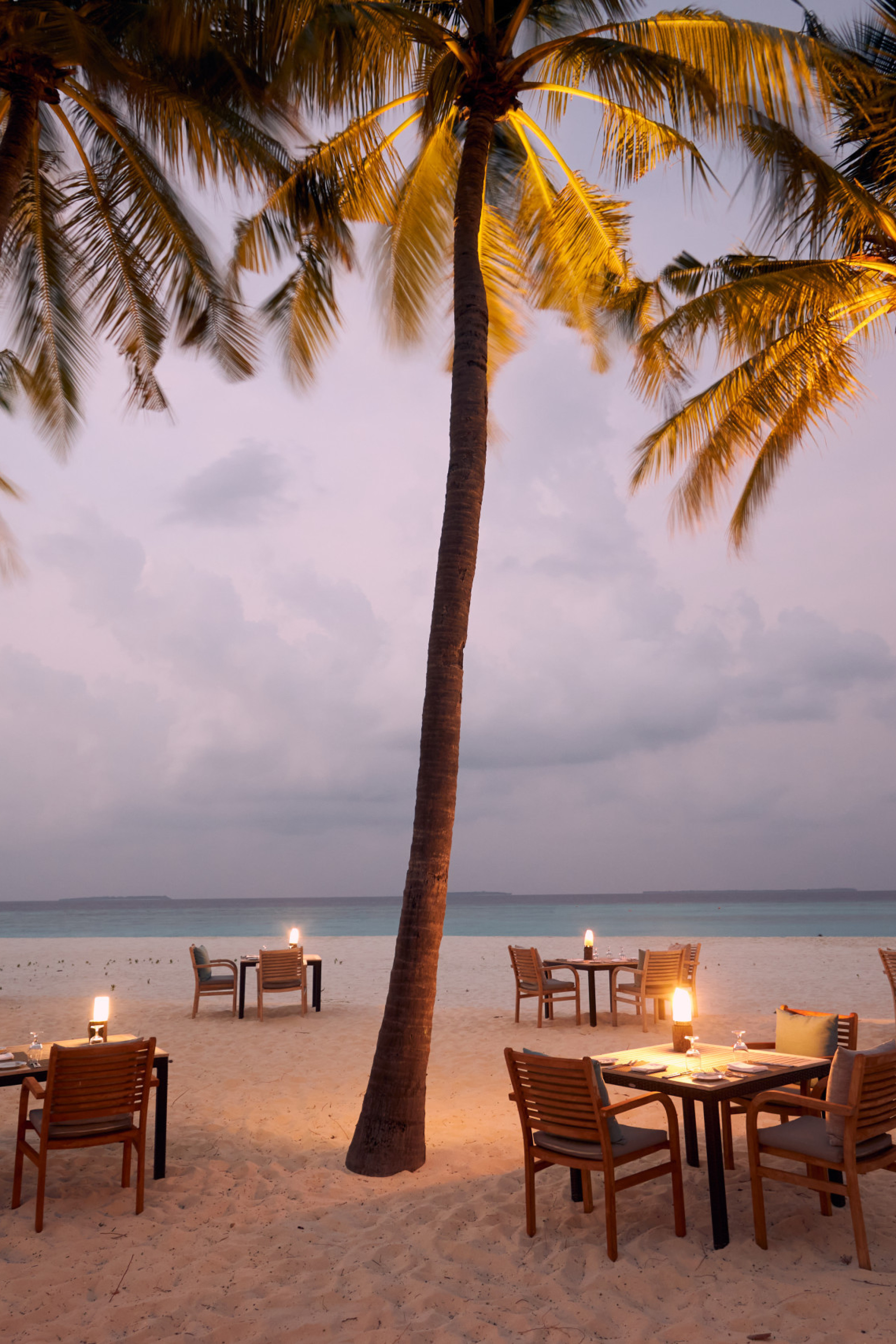 tables and chairs positioned on beach surrounded by palm trees