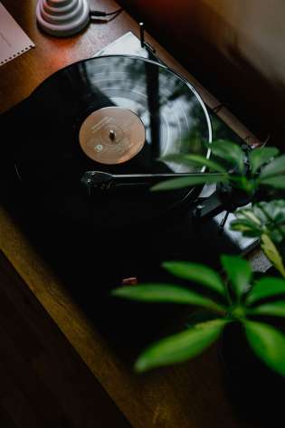 Kevin mccutcheon tcscknrl9j8 unsplash.