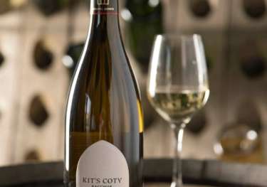 Kit's coty bacchus.