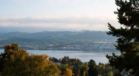 View of lake zurich in switzerland .