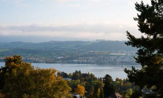 View of lake zurich in switzerland .