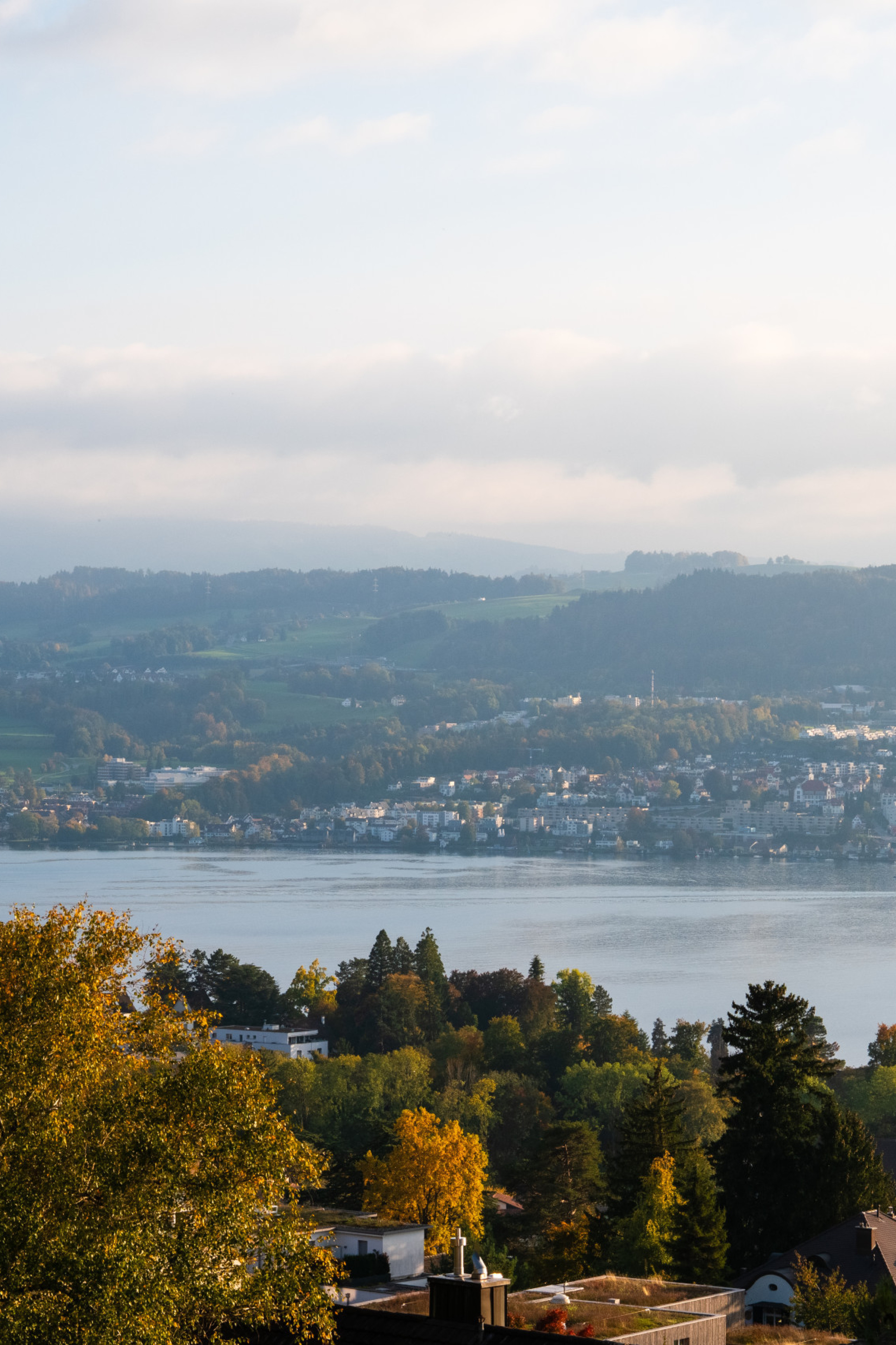 view of lake zurich in switzerland 