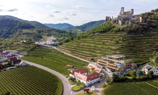 View of vineyards in austria.