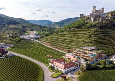 View of vineyards in austria.