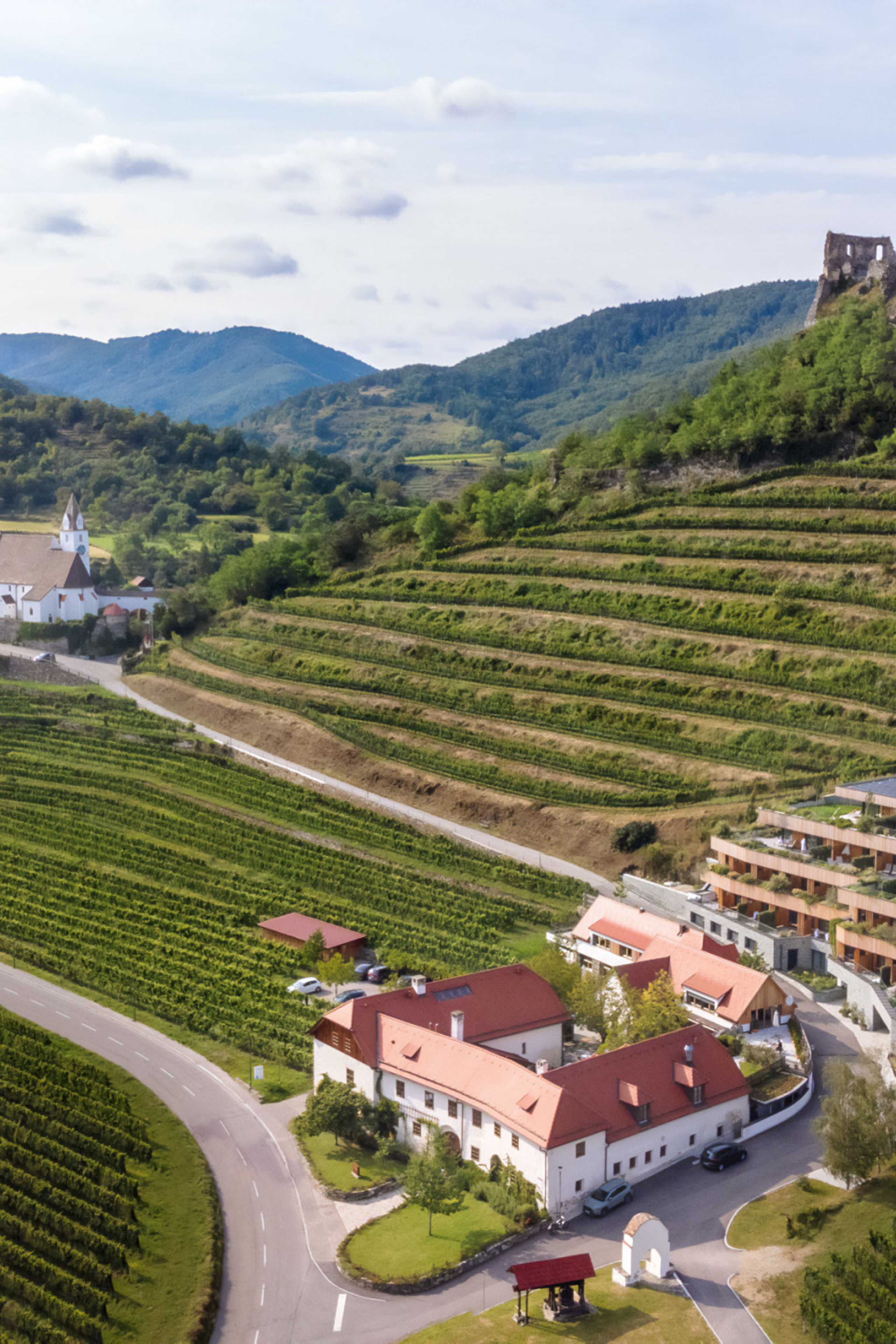 view of vineyards in austria