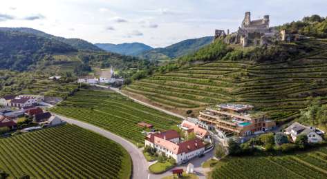 View of vineyards in austria.