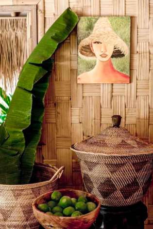 Photo of home interior in the caribbean with plant and bowl of limes.