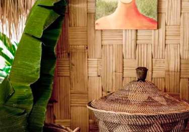 Photo of home interior in the caribbean with plant and bowl of limes.
