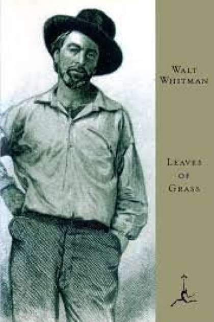 Leaves of grass book 1656063029.