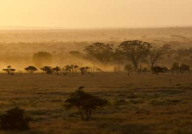 Serengeti national park.