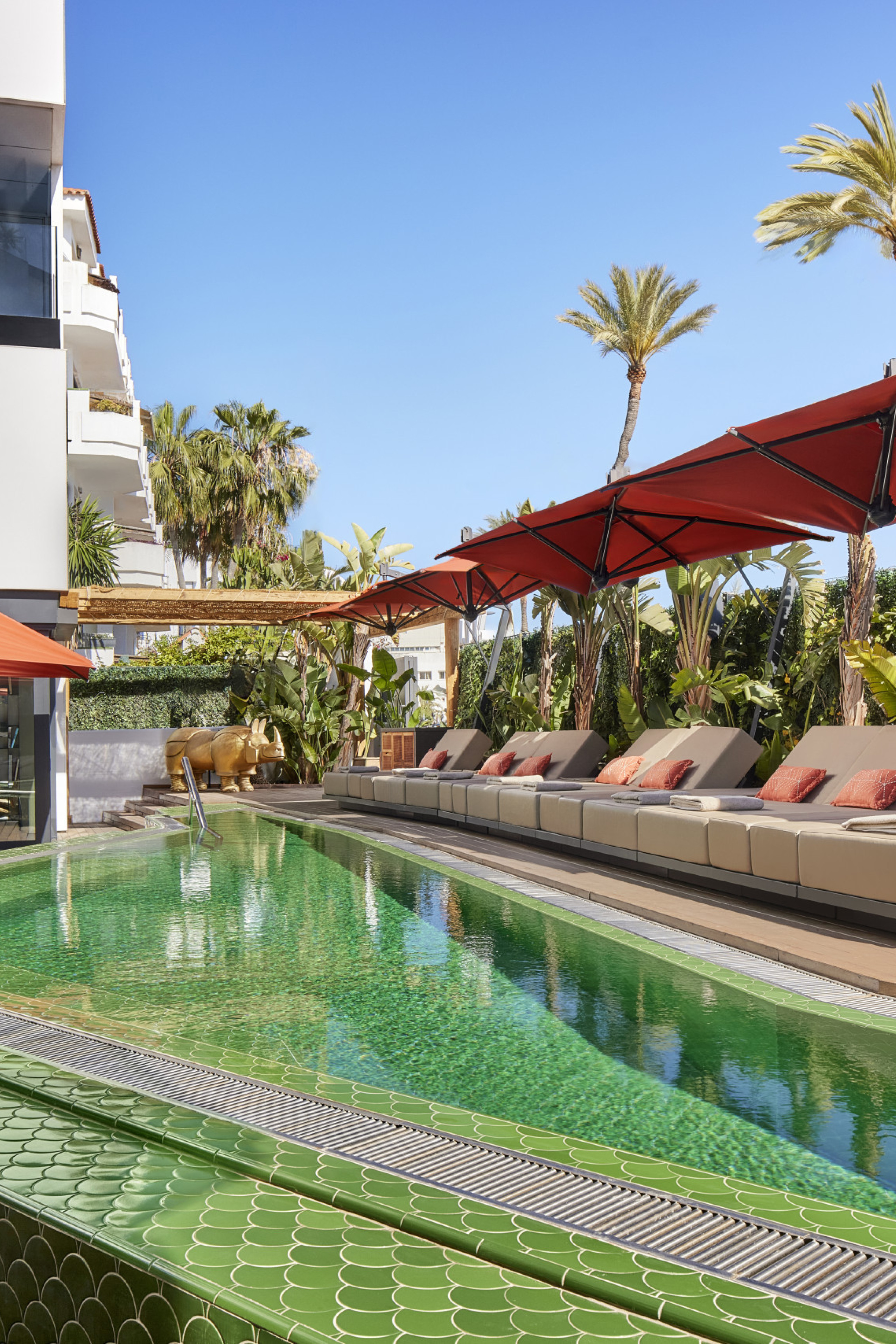 hotel pool with sunbeds around the edge
