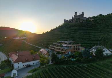 View of vineyards in austria at sunset.