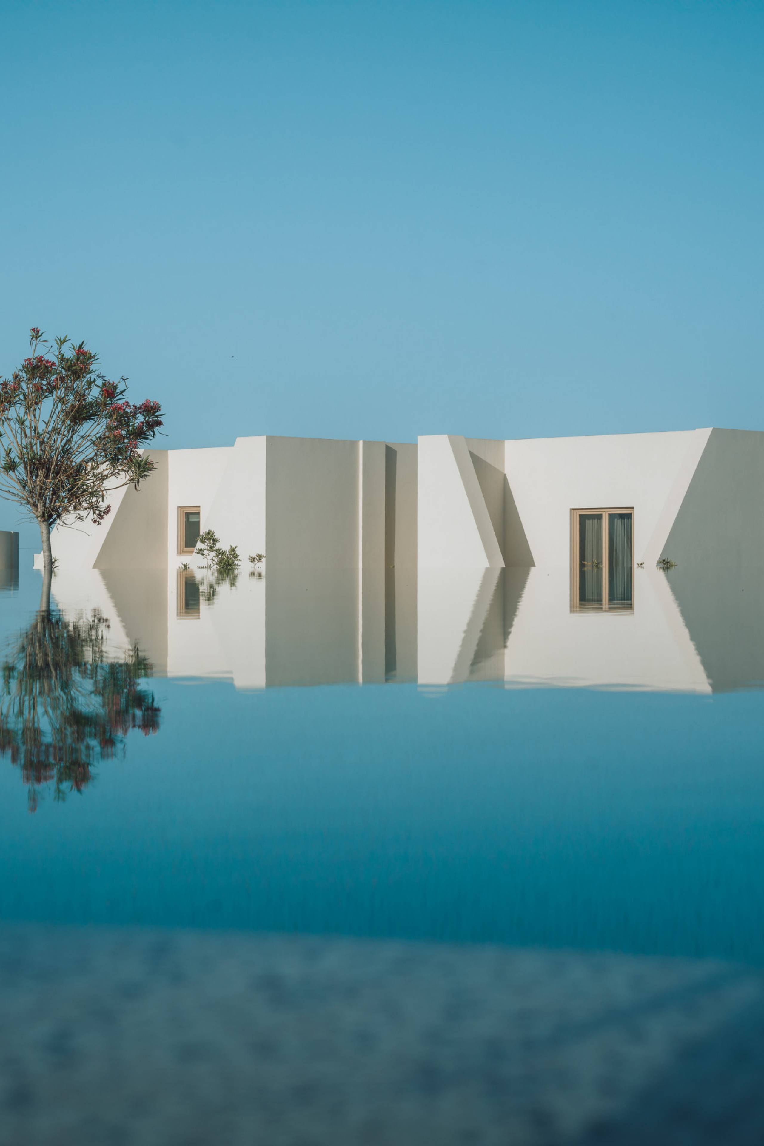 pool at white hotel with three trees 