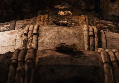Oak barrels lined up in cellar.