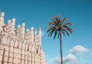 View of palma de mallorca's cathedral.