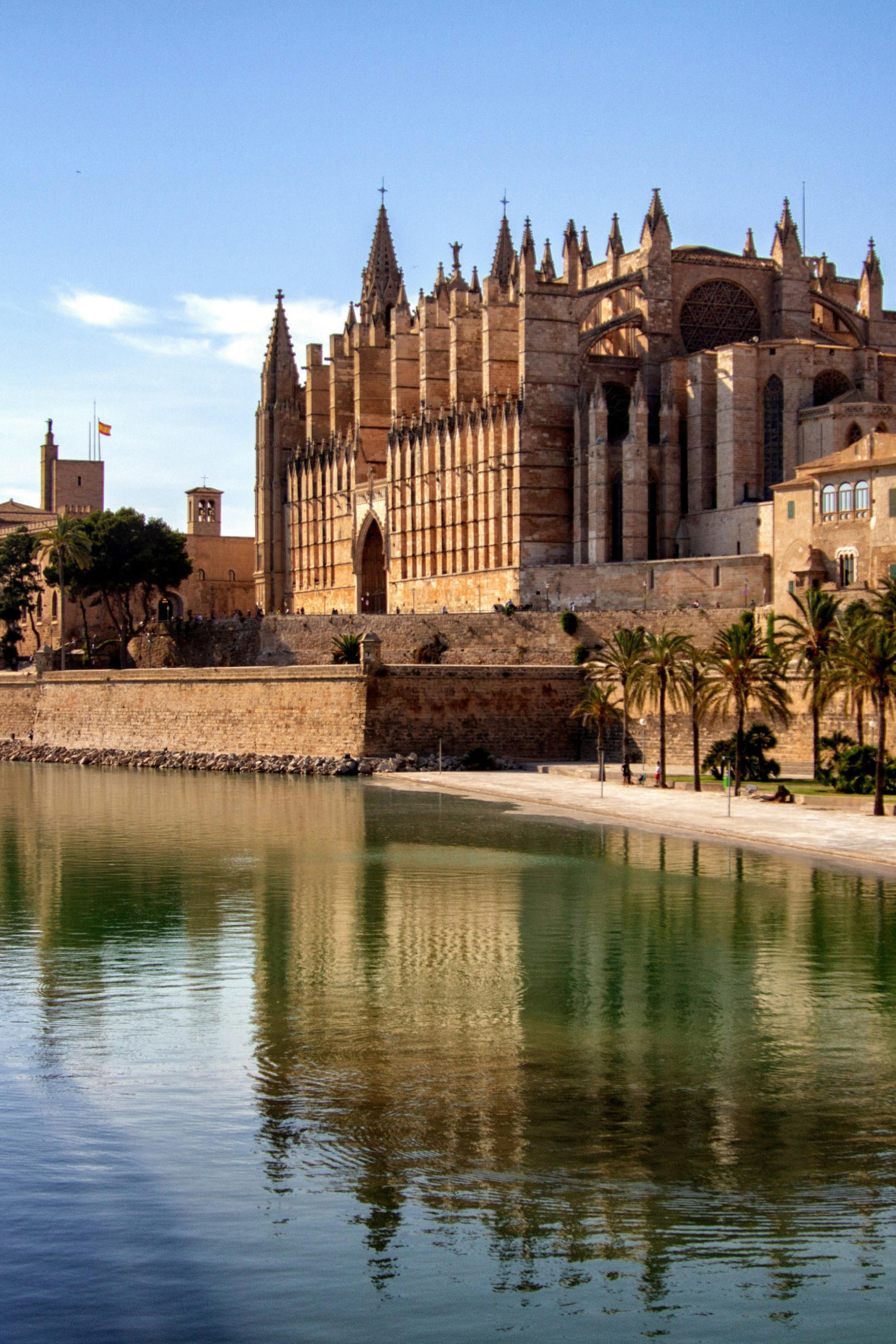 view of palma de mallorca cathedral