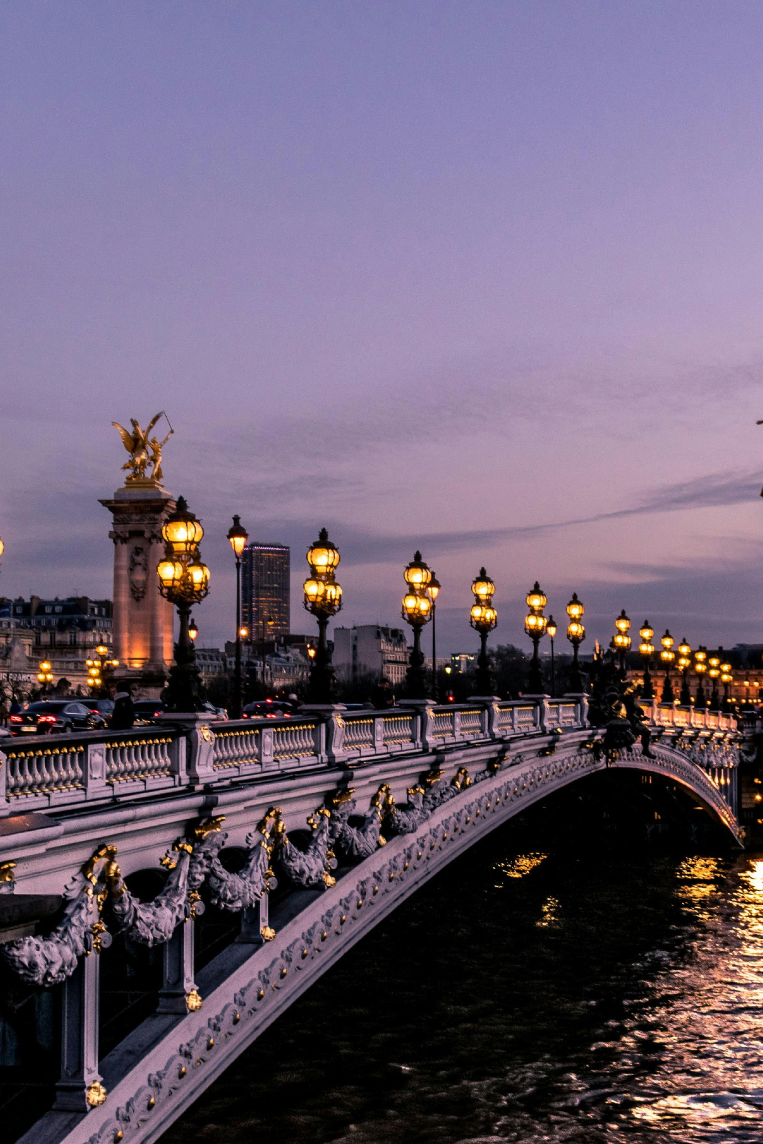 paris bridge in the evening