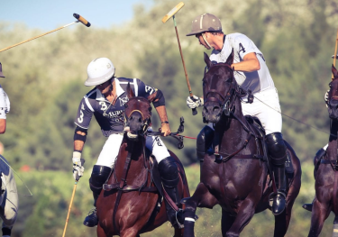 Polo match.