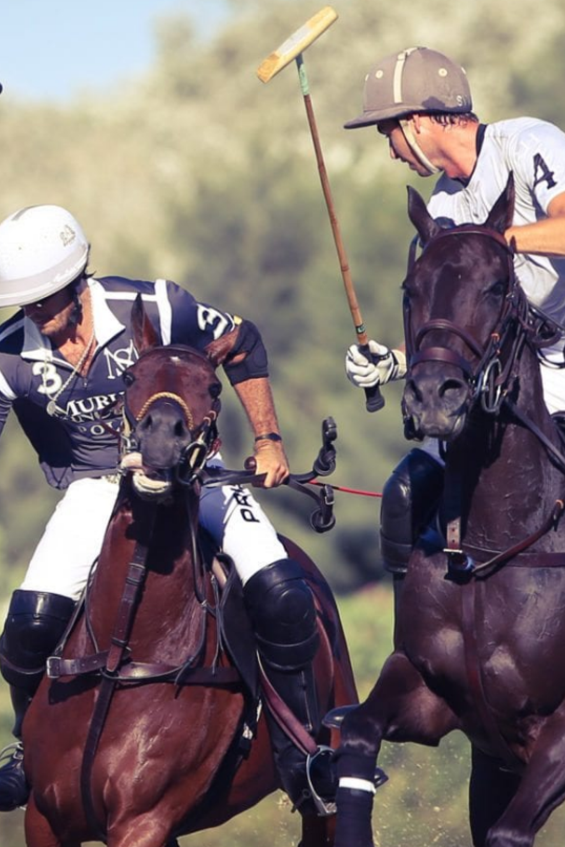 polo-match.png