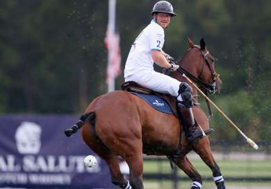 Prince harry polo .