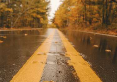 Yellow road markings.