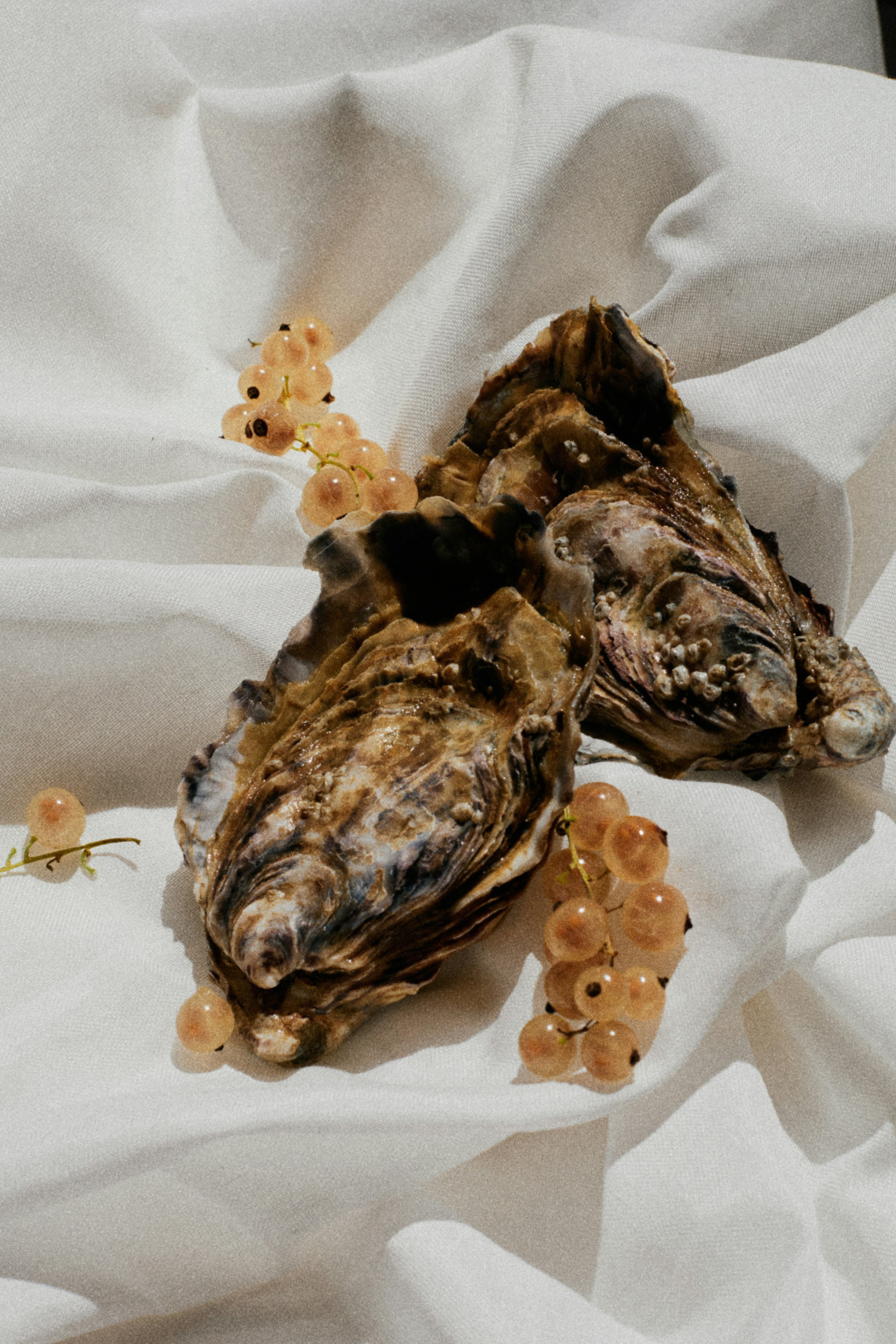 oysters with berries on white cloth